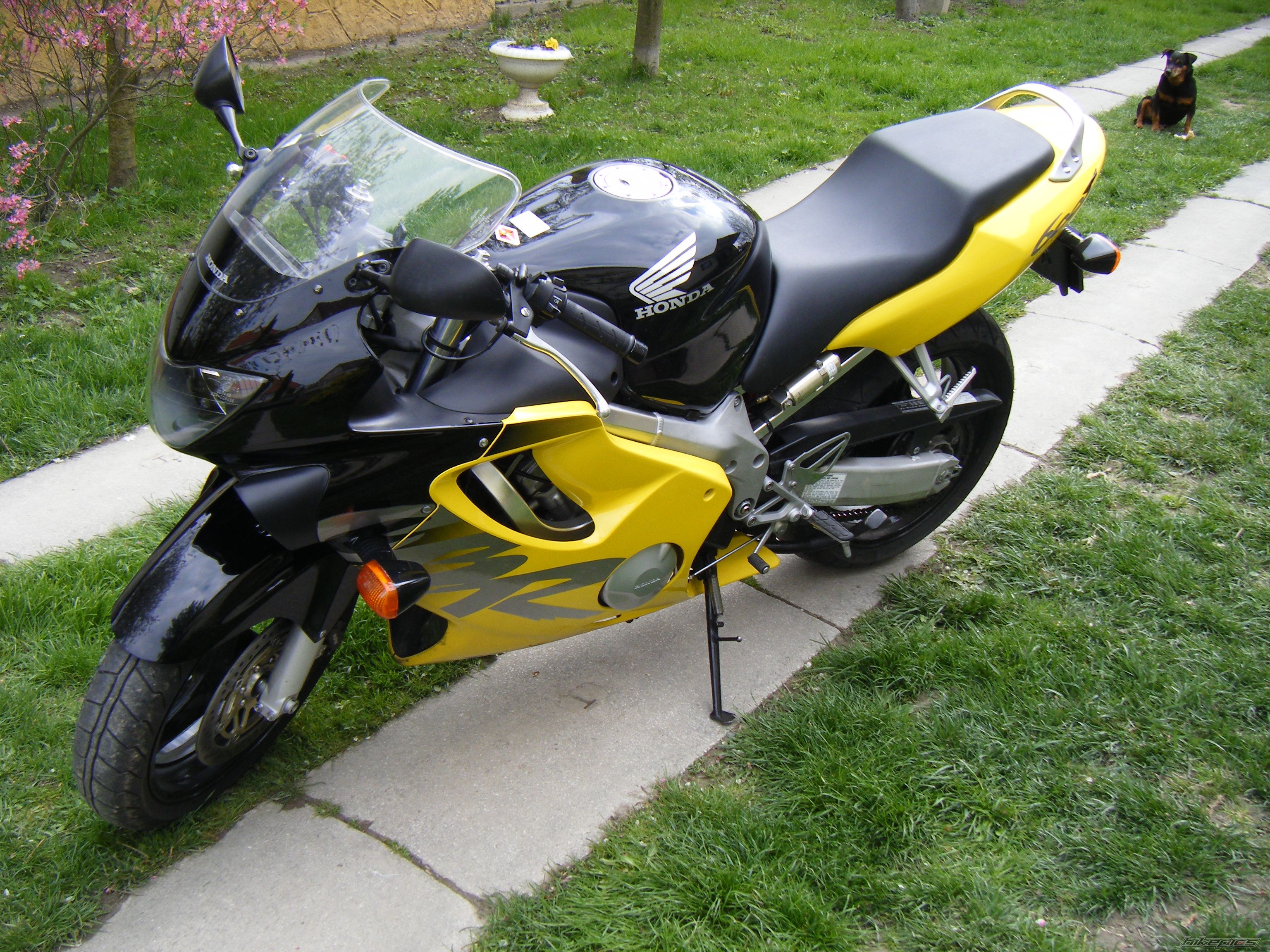 Photo 1257700