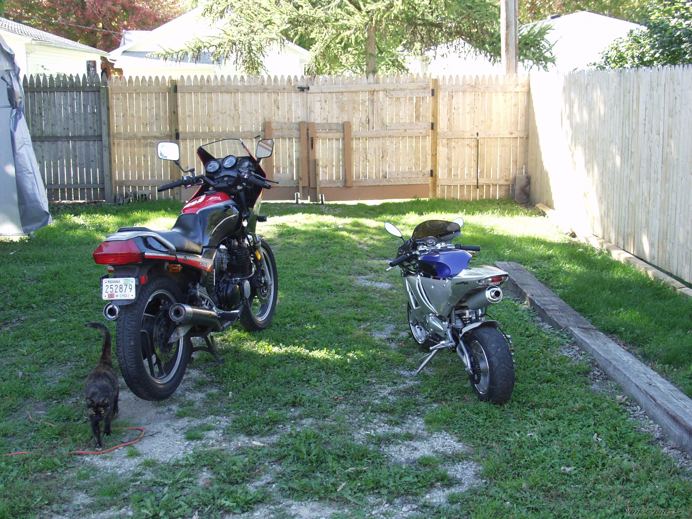 Photo 1257749