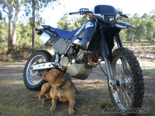 Photo 1257753