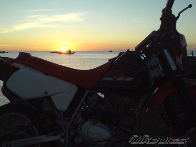 Photo 1258183