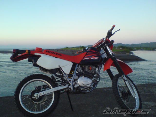 Photo 1258184