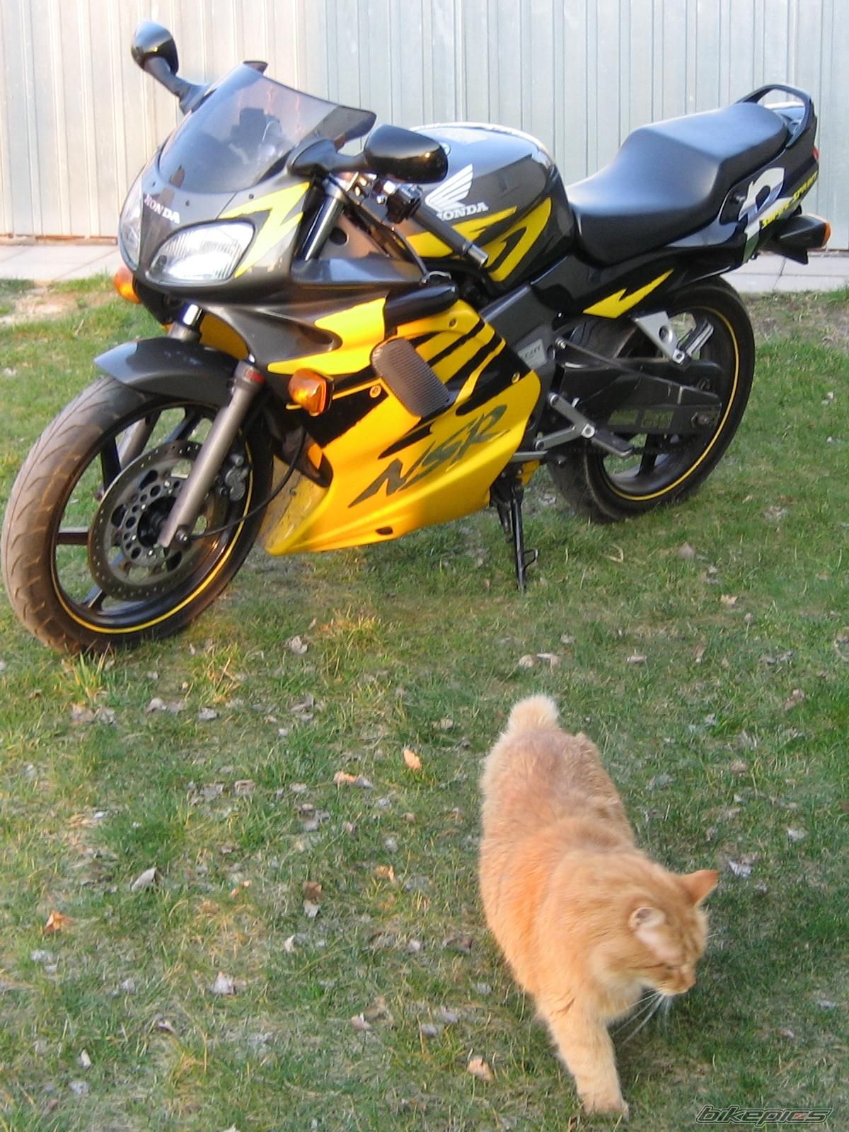 Bike Photo 1258216
