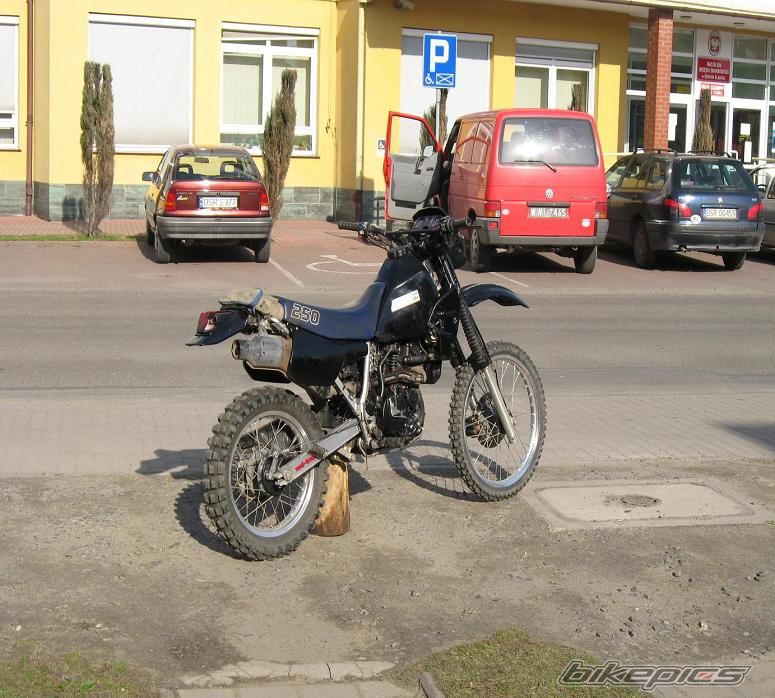 Photo 1258271