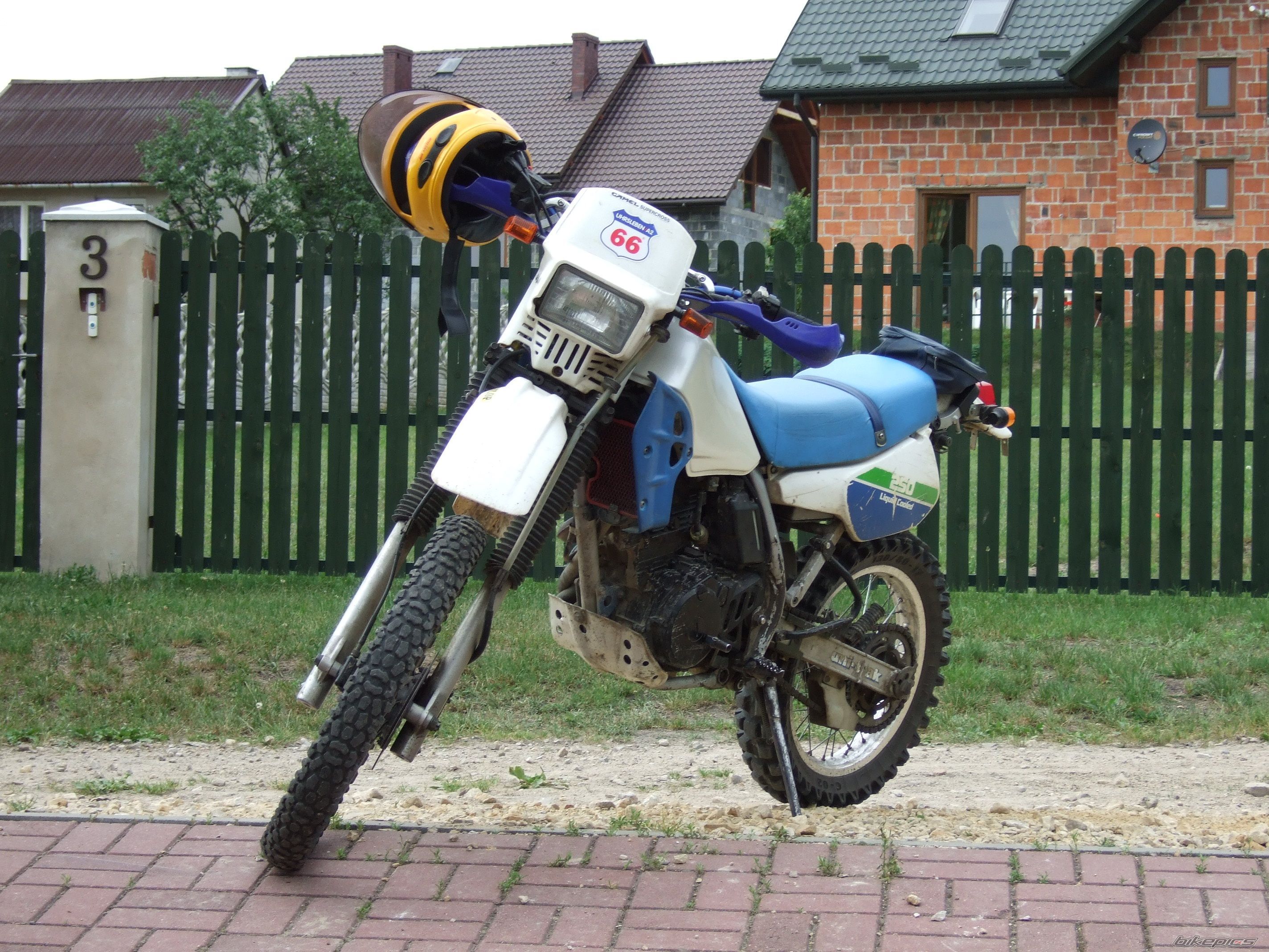 Photo 1258435