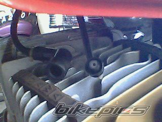 Photo 1258487