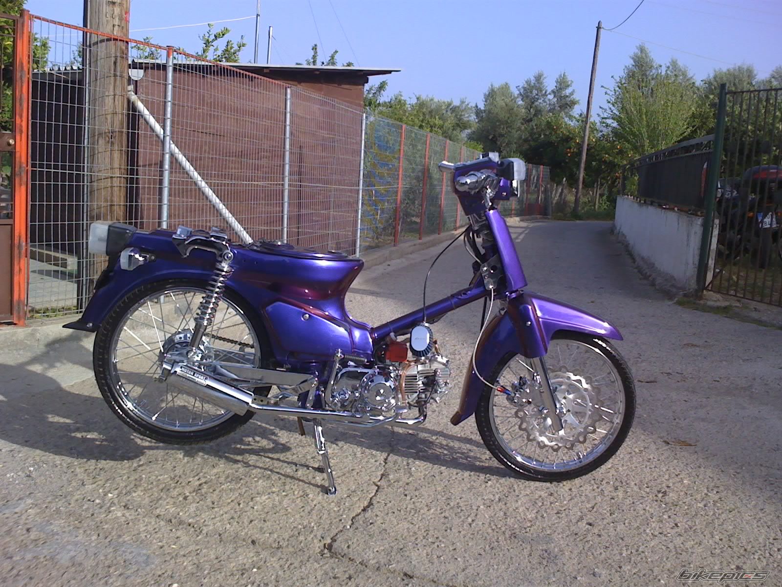 Photo 1258509