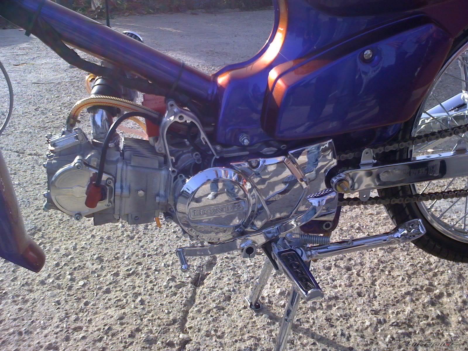 Photo 1258521