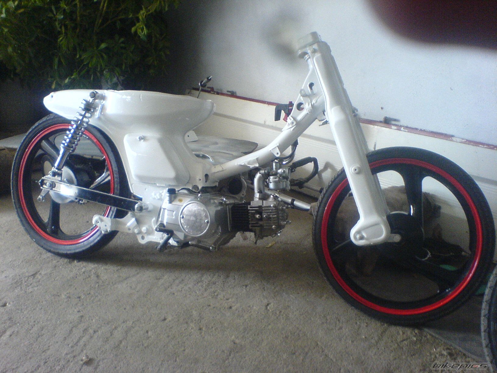 Photo 1258523