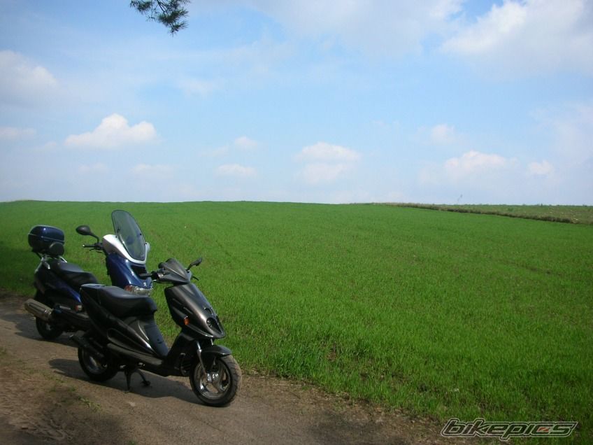 Photo 1258571