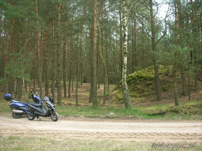 Photo 1258577