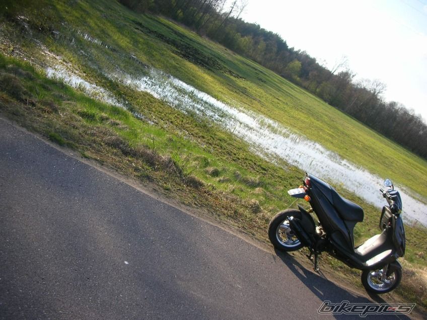 Photo 1258601