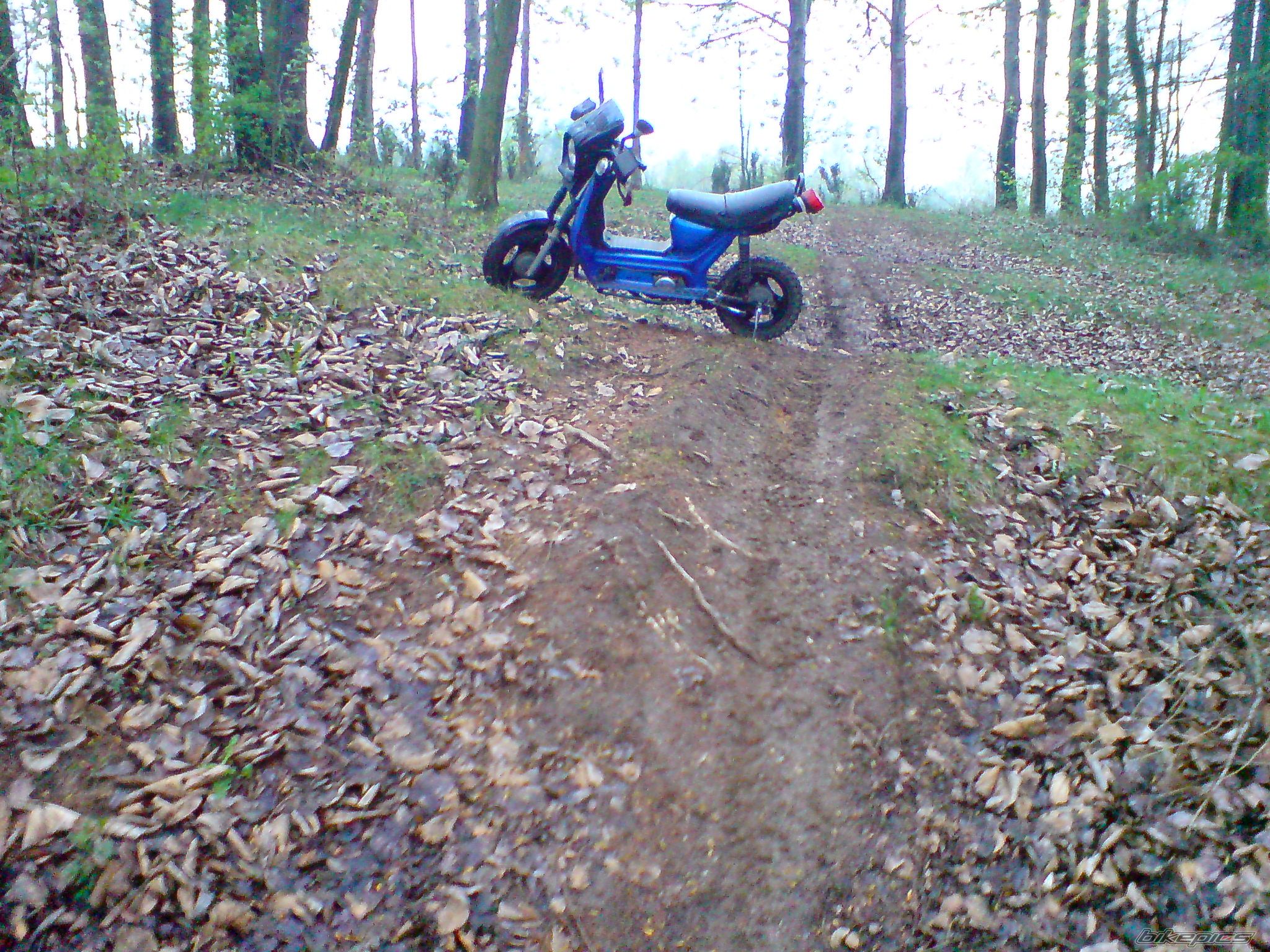 Bike Photo 1258605