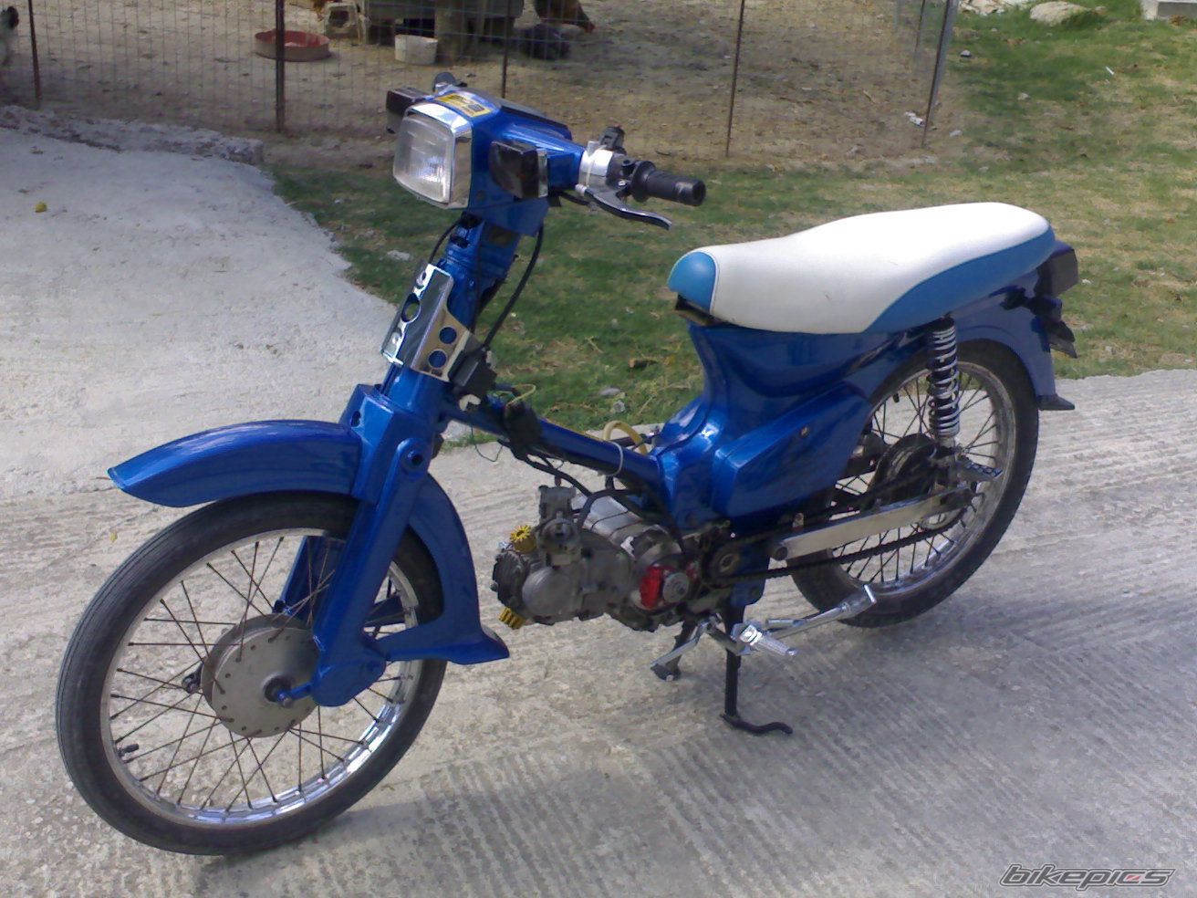Photo 1258652