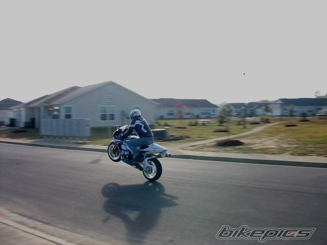 Photo 12587
