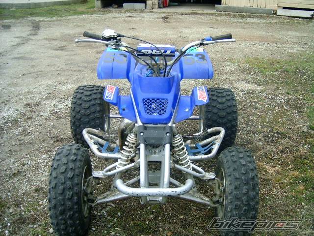 Photo 125873