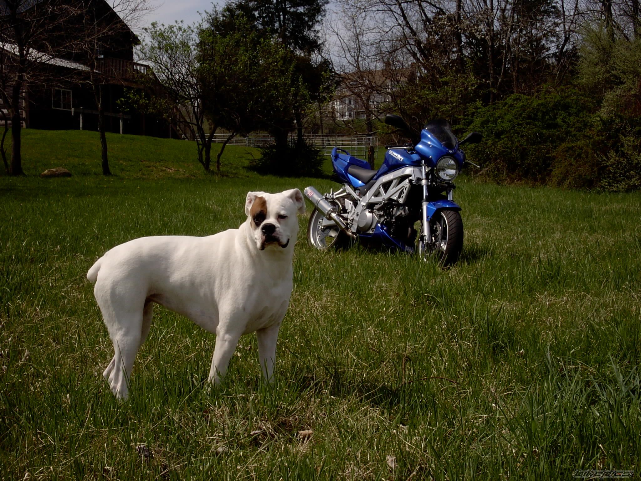 Bike Photo 1258735