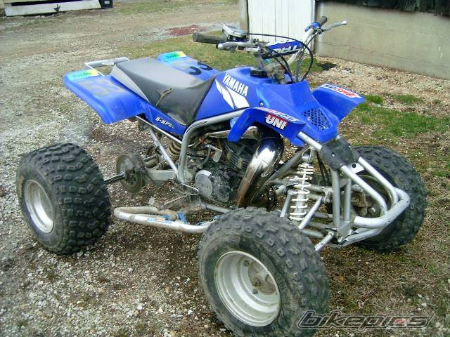 Photo 125877
