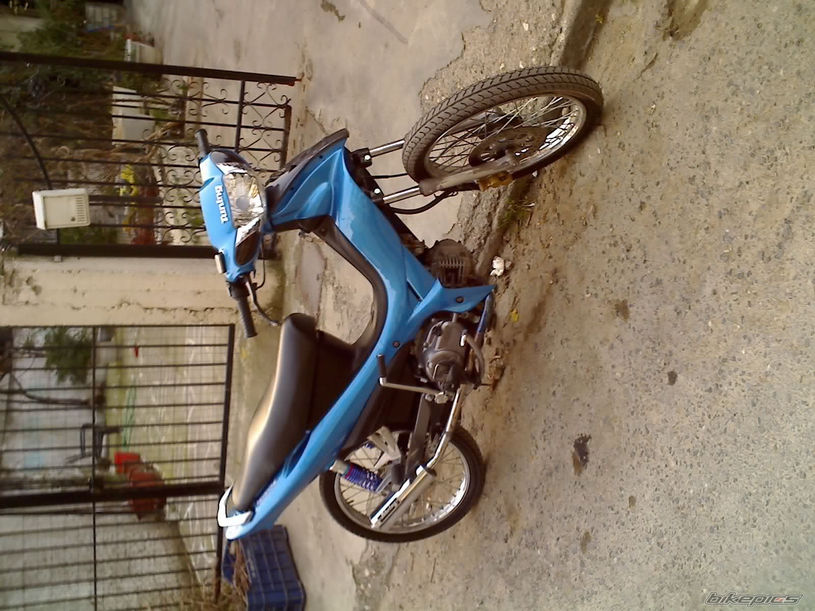 Photo 1258807