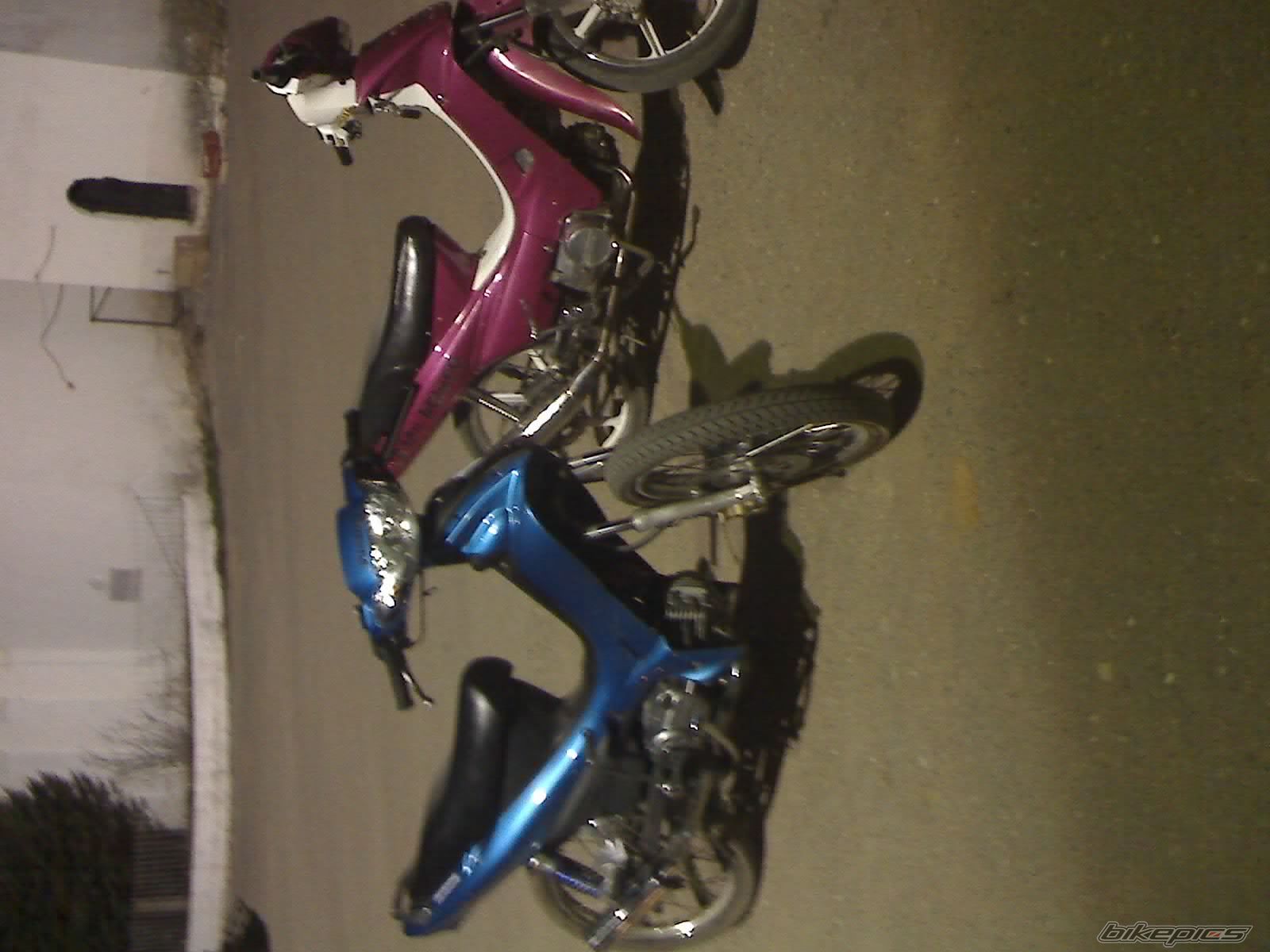 Photo 1258822