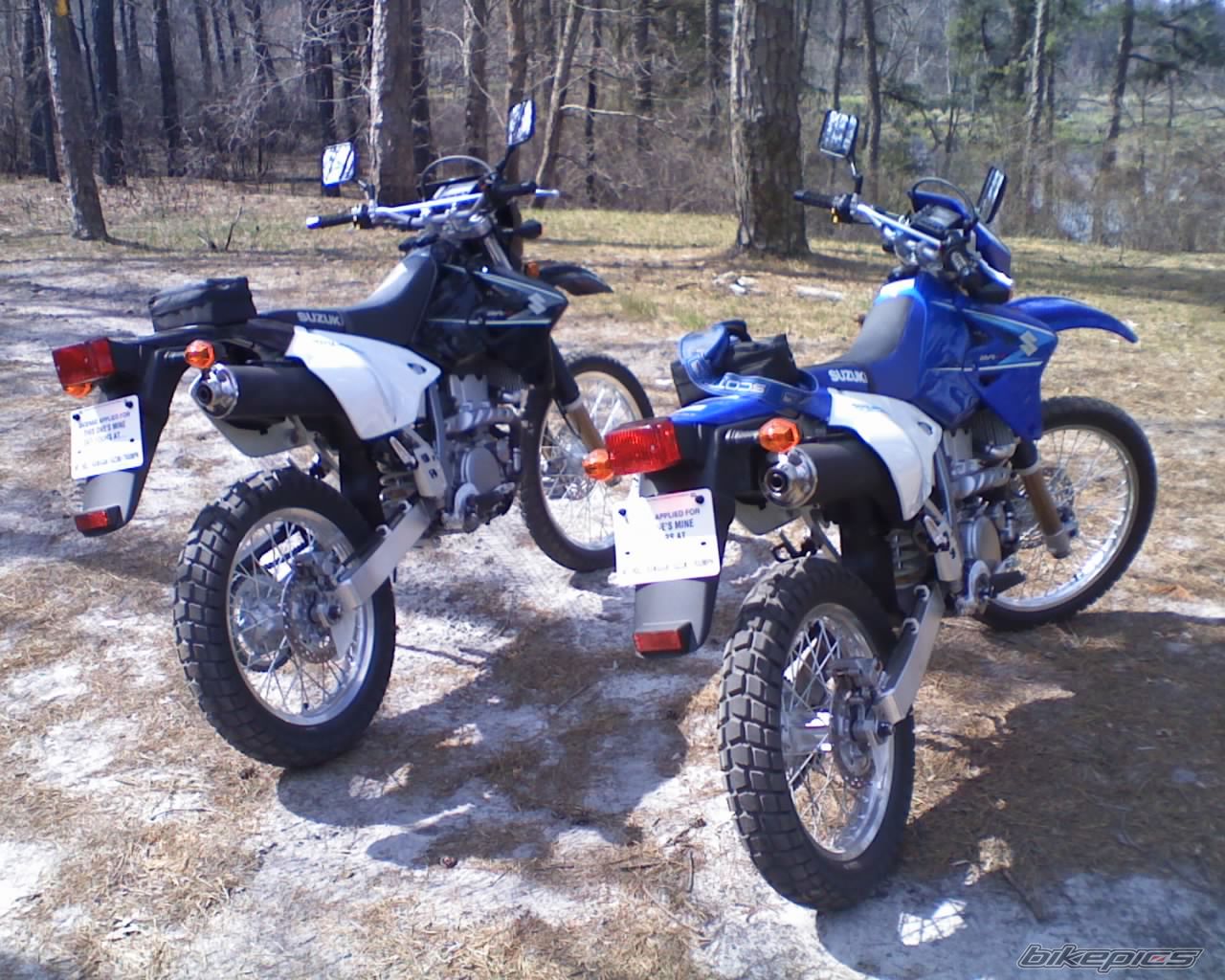 Photo 1258858