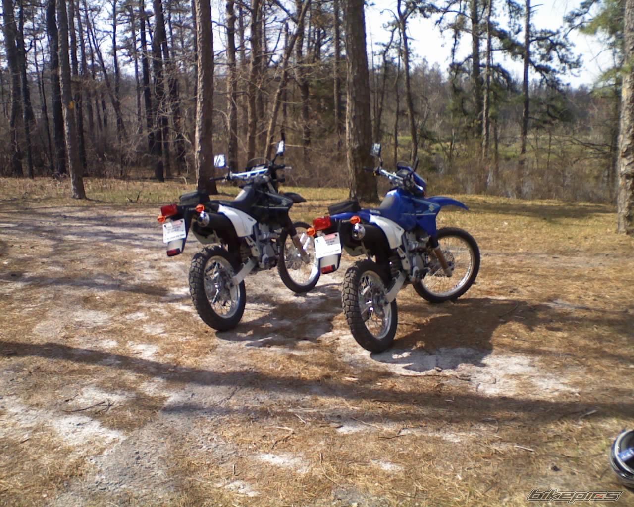 Photo 1258862