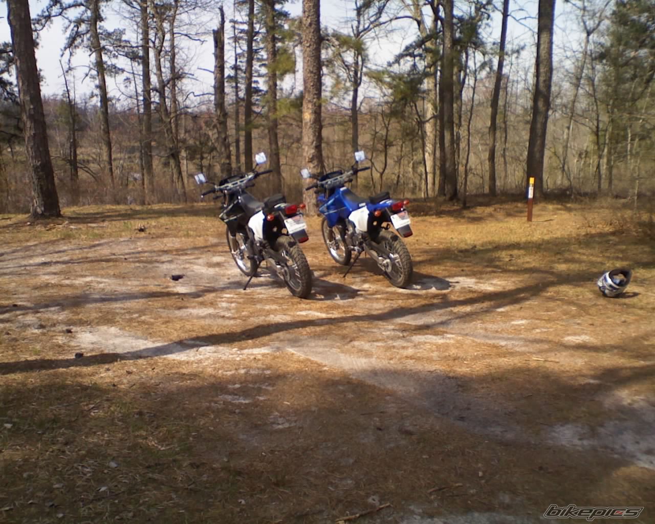 Photo 1258866