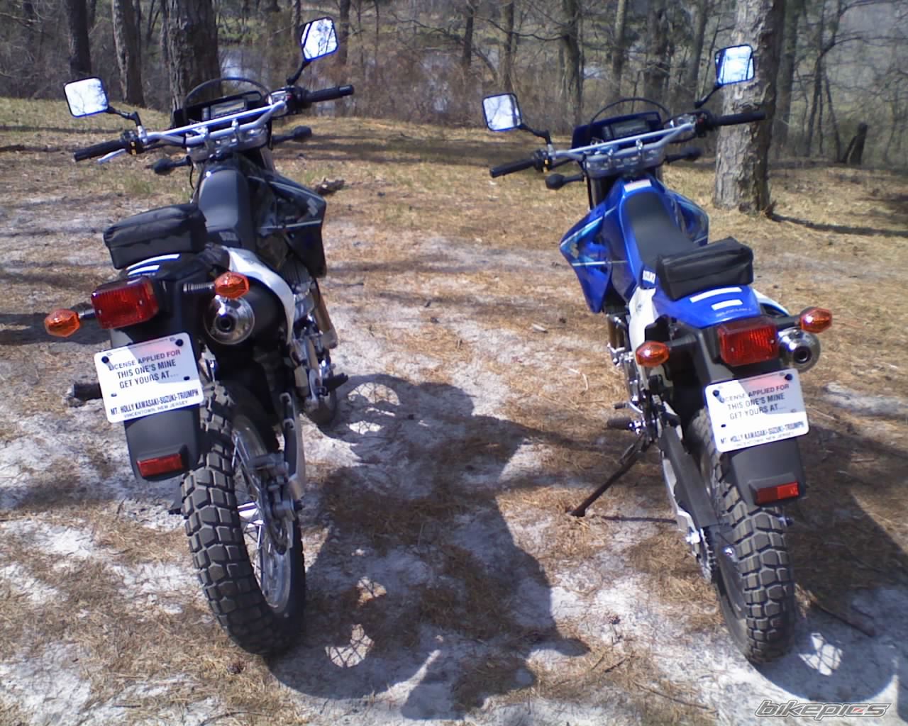 Photo 1258870