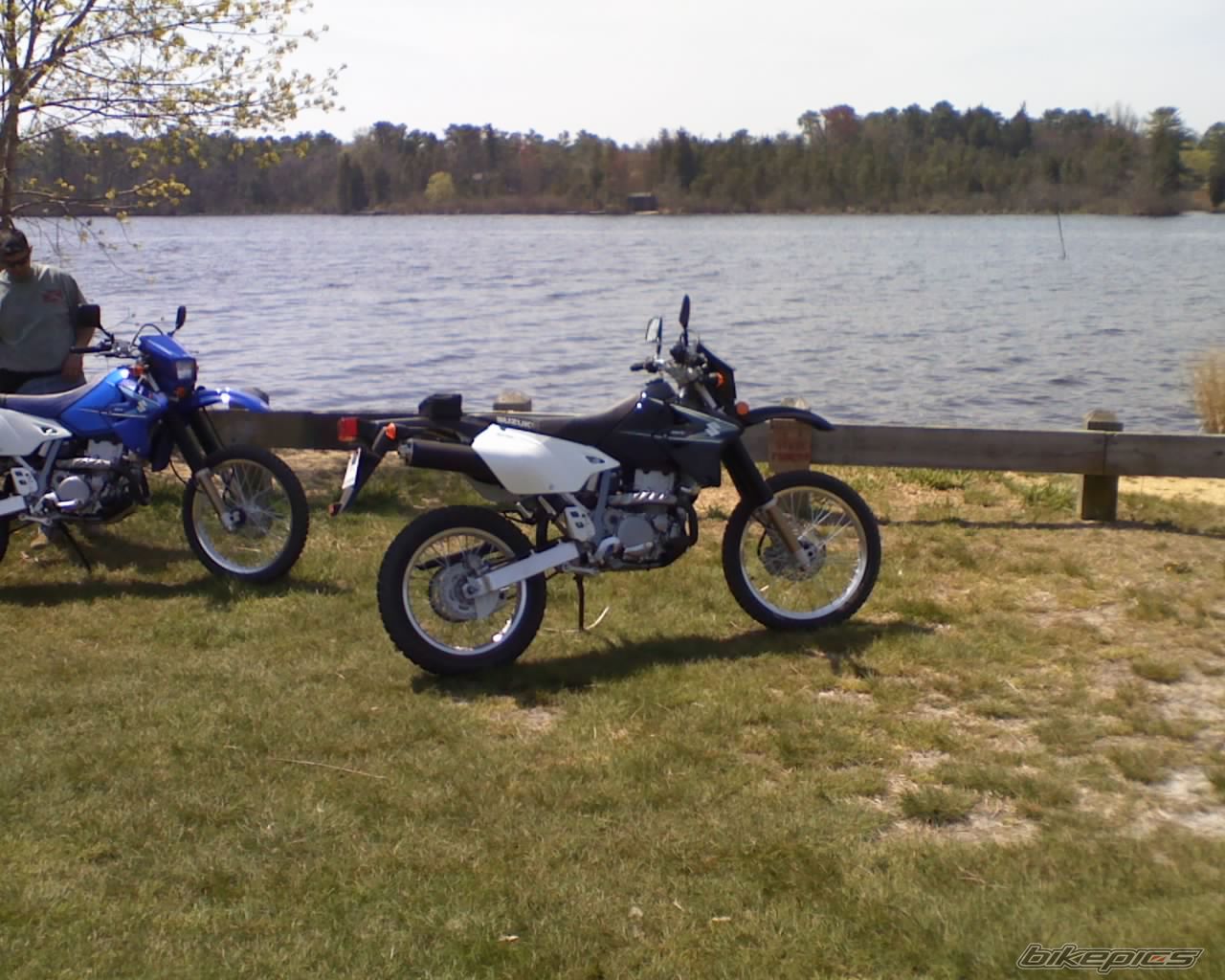 Photo 1258882