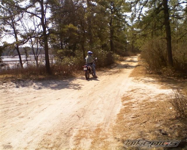 Photo 1258933