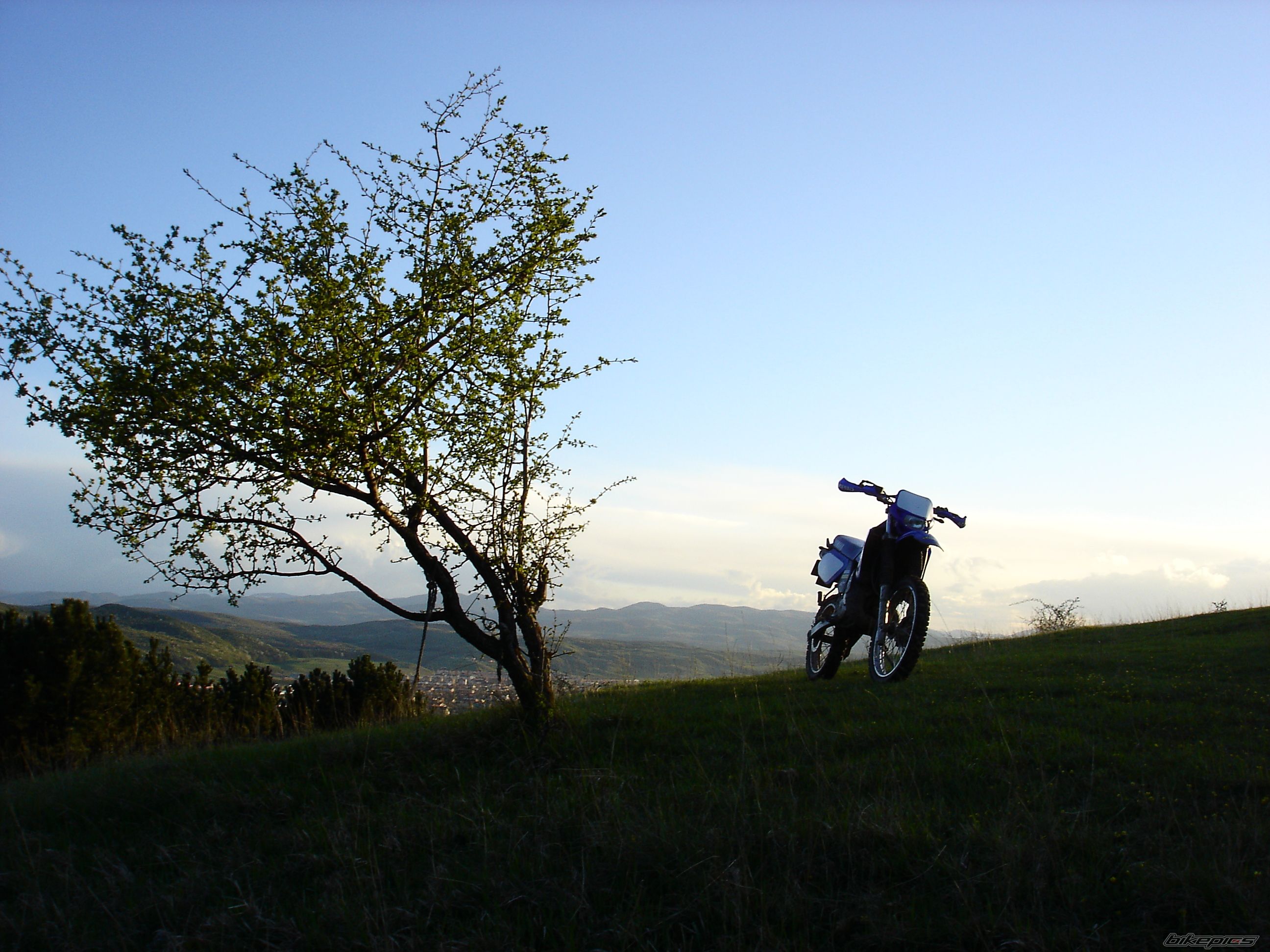 Bike Photo 1258934