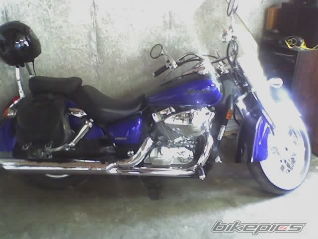 Photo 1259268