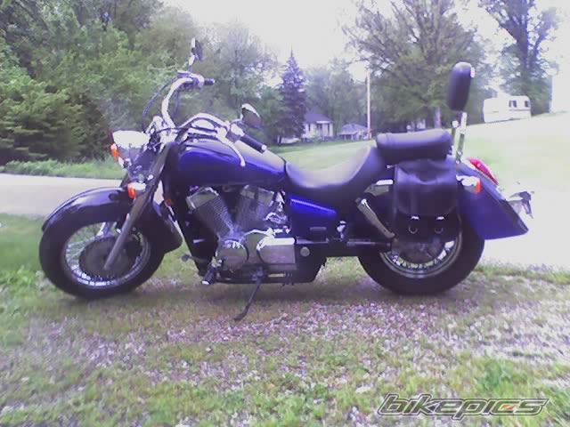 Photo 1259271