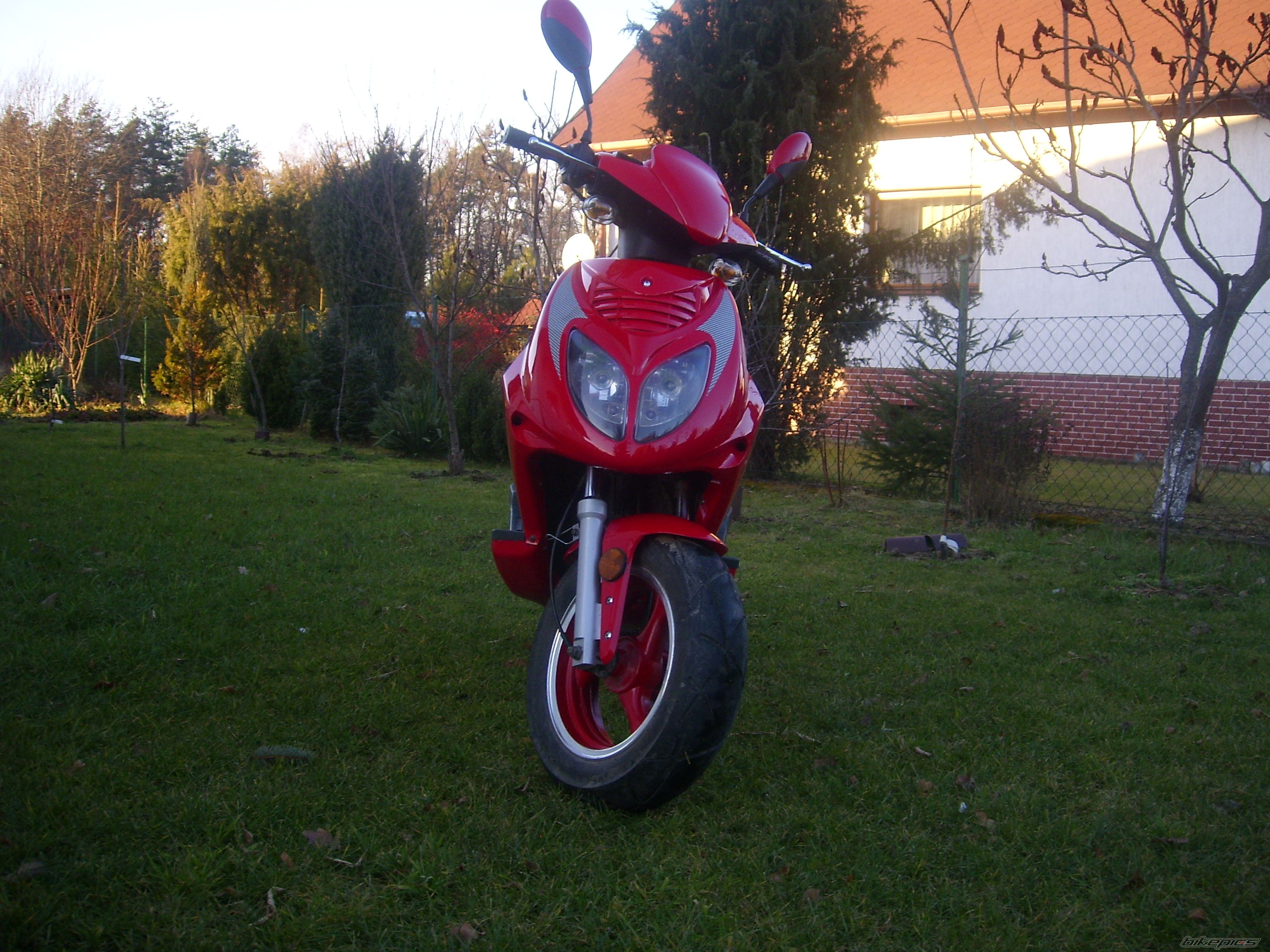 Photo 1259304