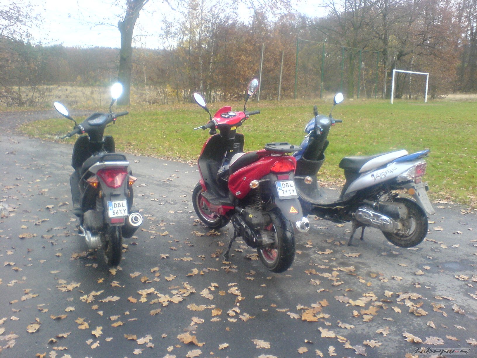 Photo 1259318