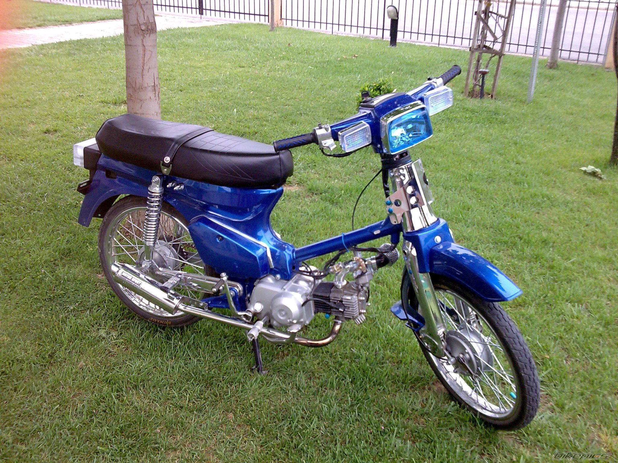 Photo 1259326