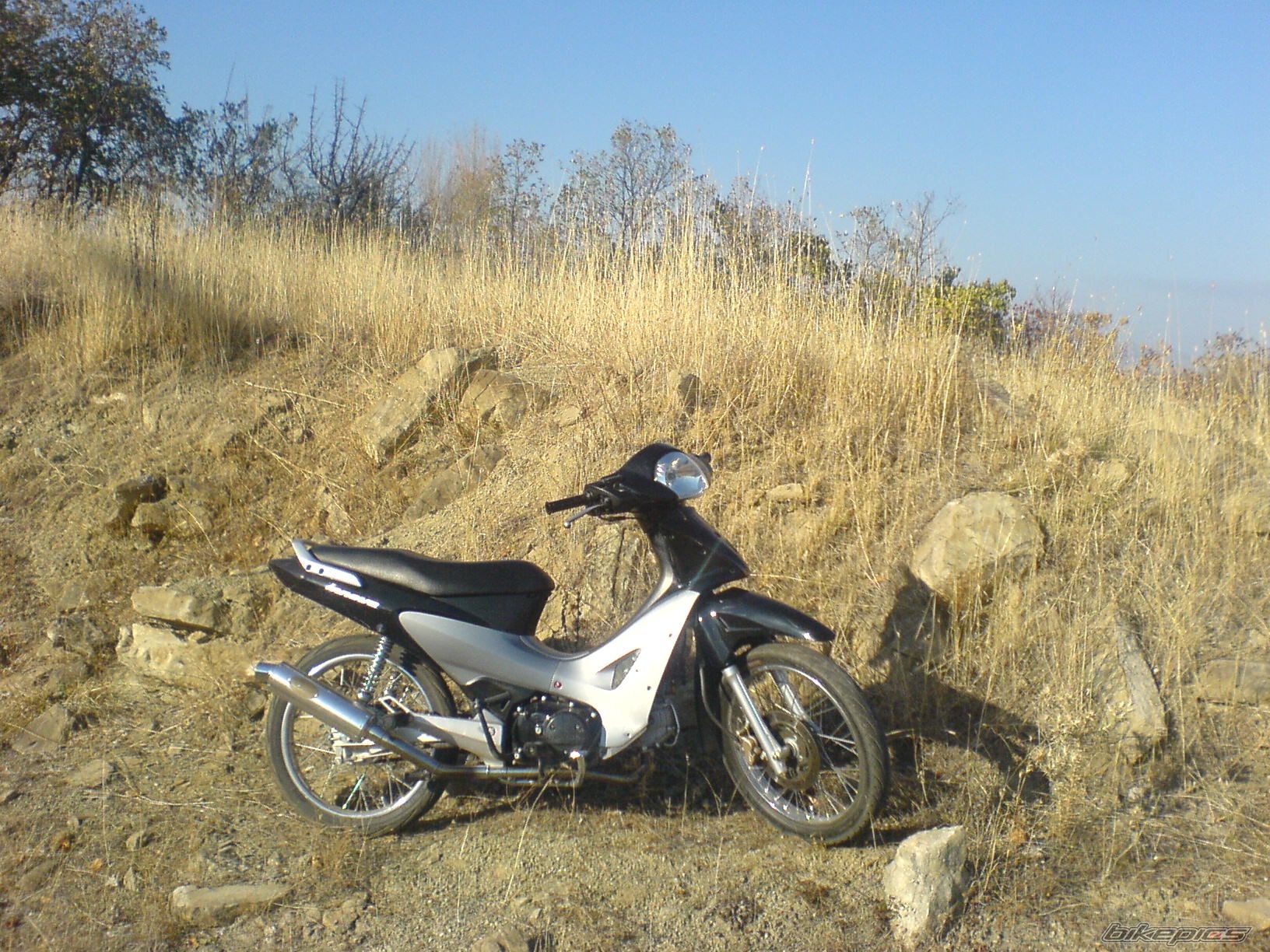 Photo 1259354