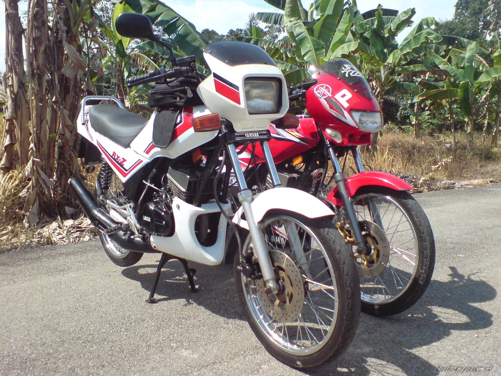 Bike Photo 1259387