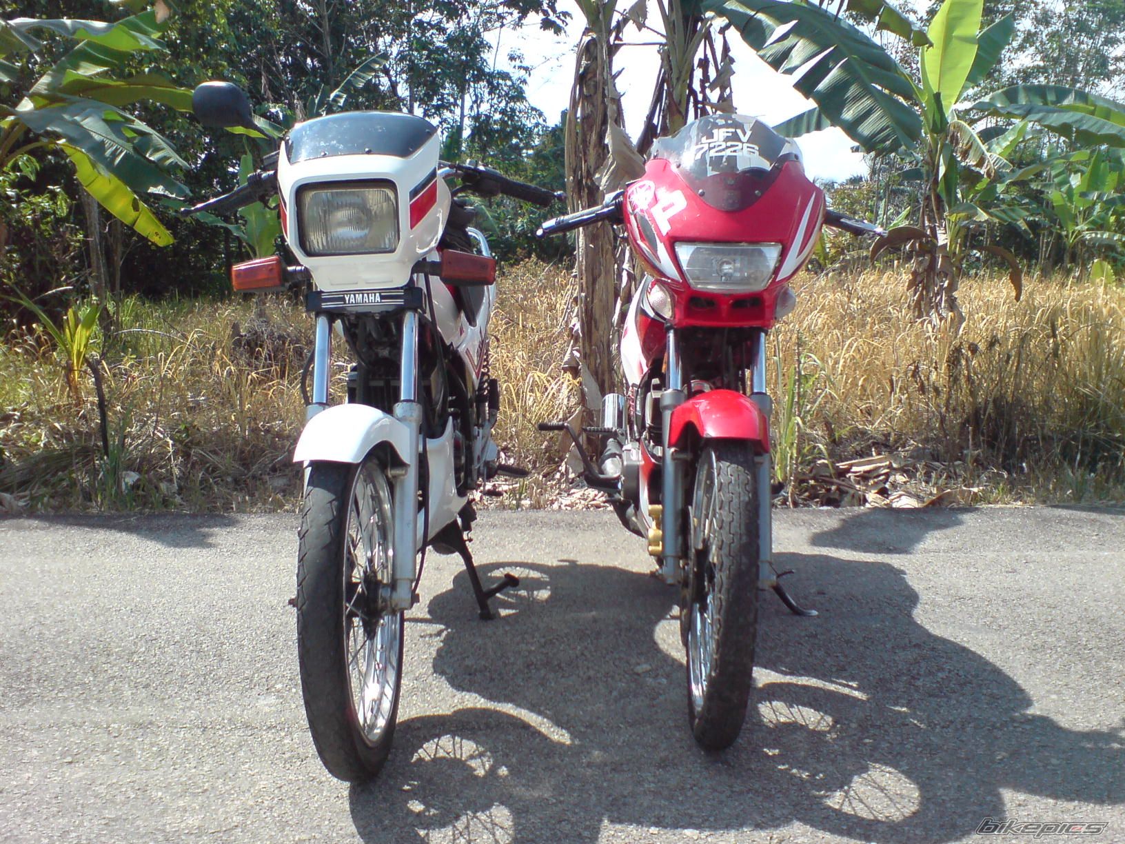 Bike Photo 1259388
