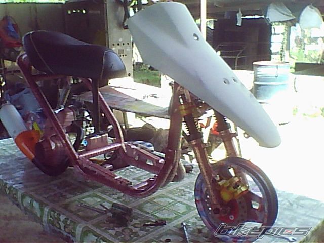 Photo 1259399