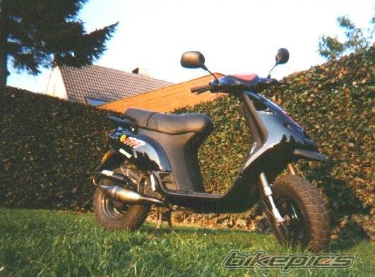 Photo 12594