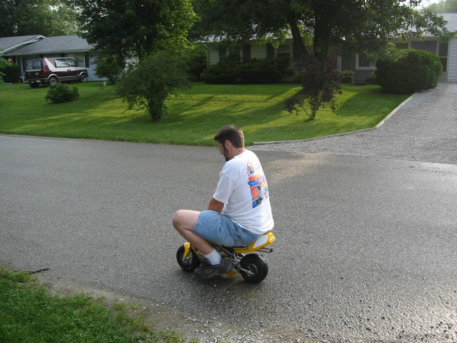 Photo 125941