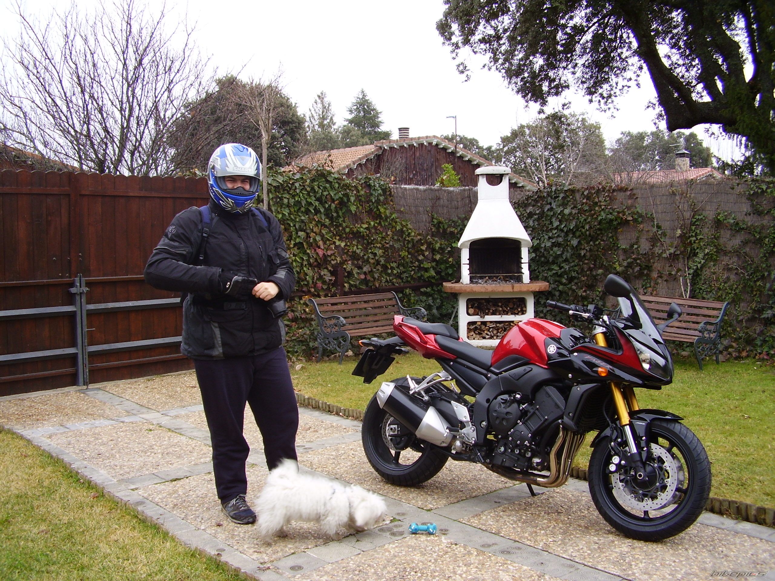 Bike Photo 1259416