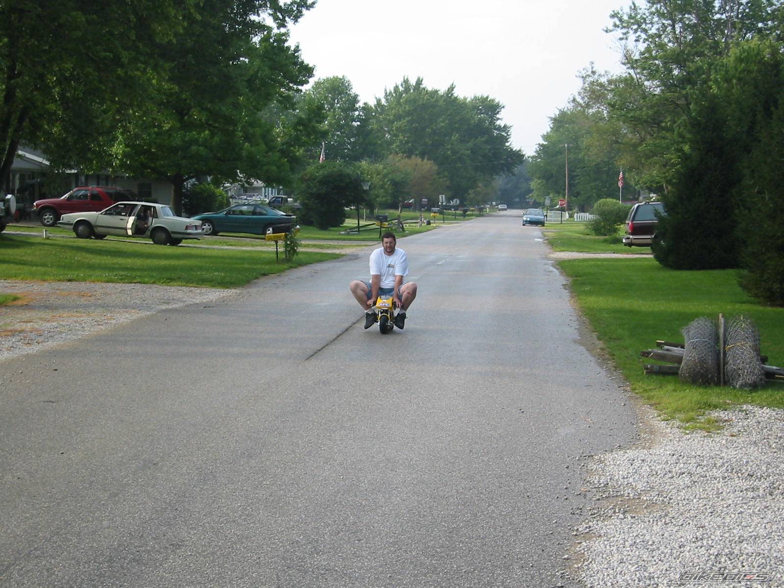 Photo 125942