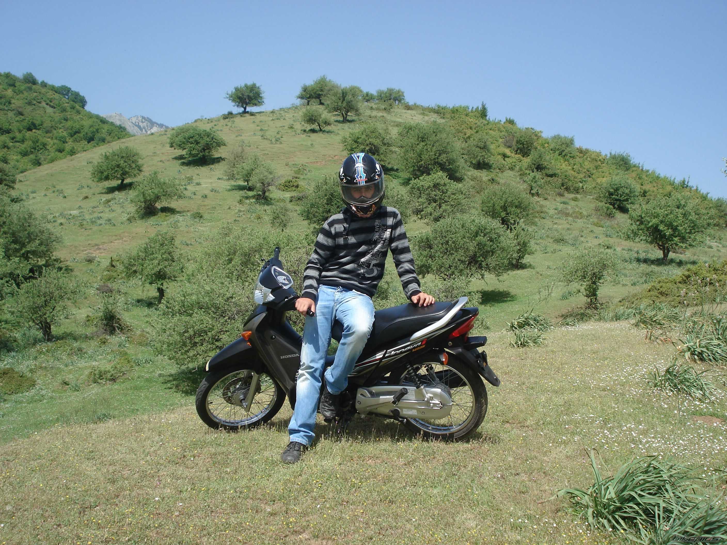 Photo 1259440