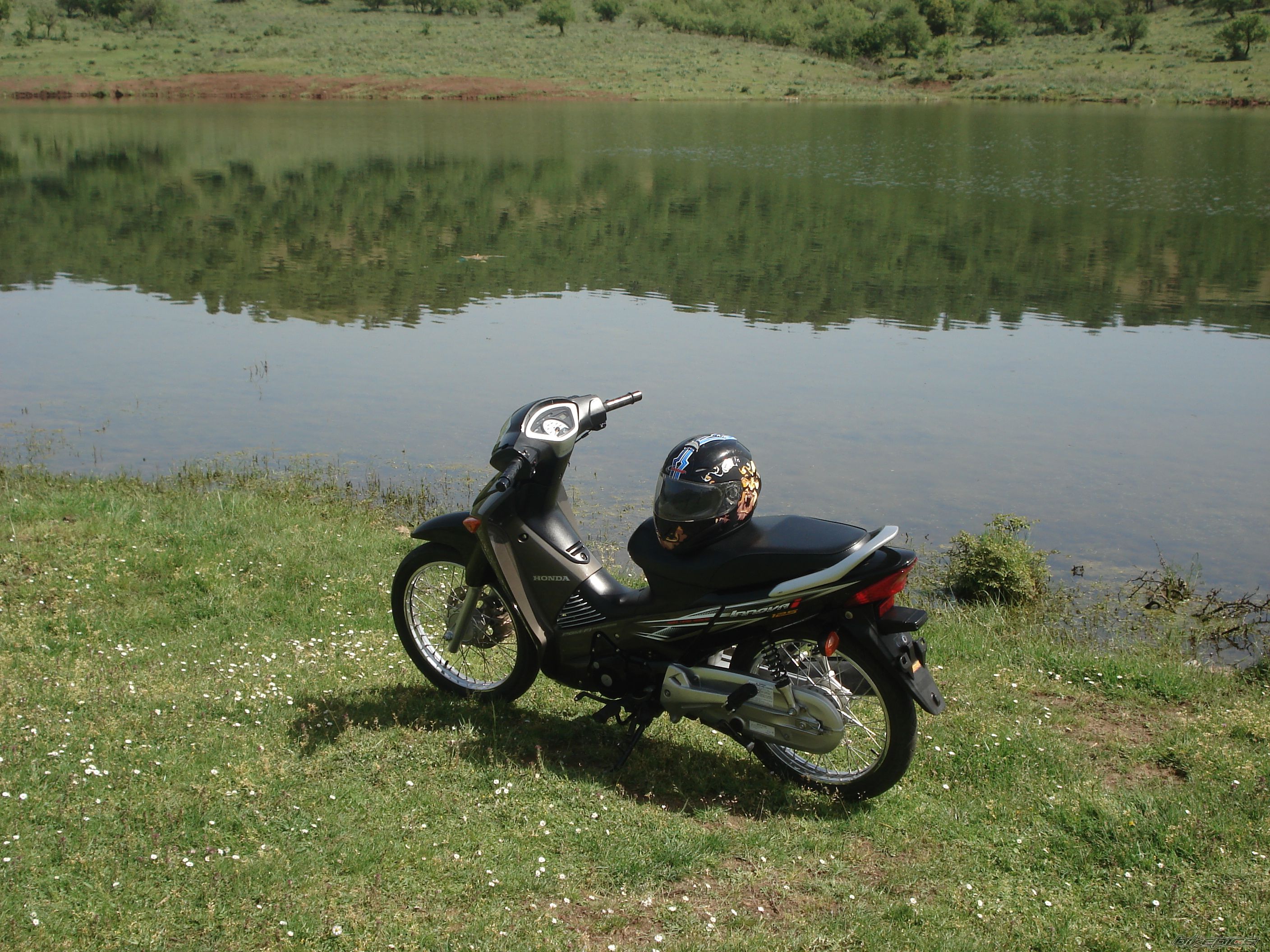 Photo 1259450
