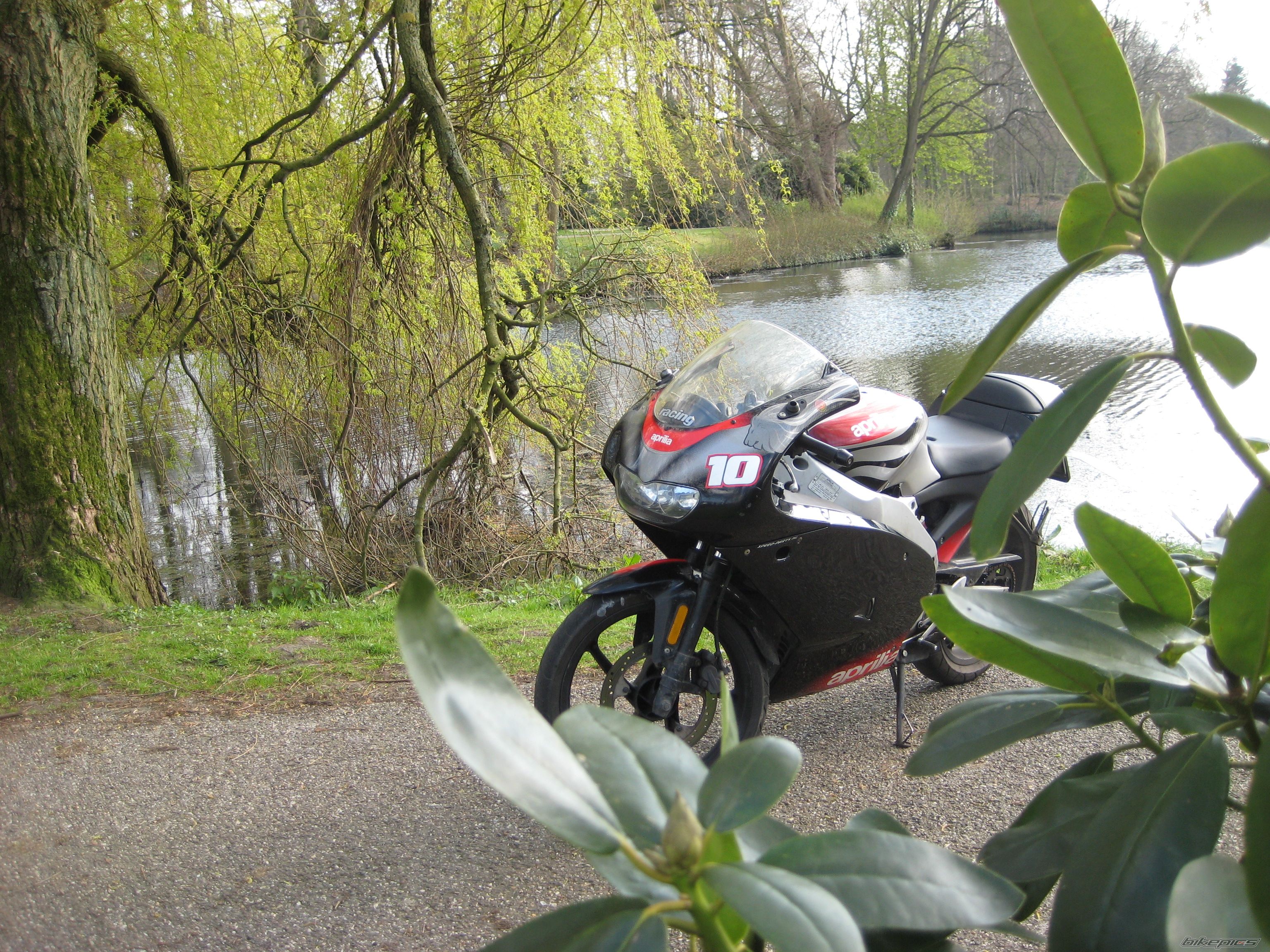 Photo 1259452