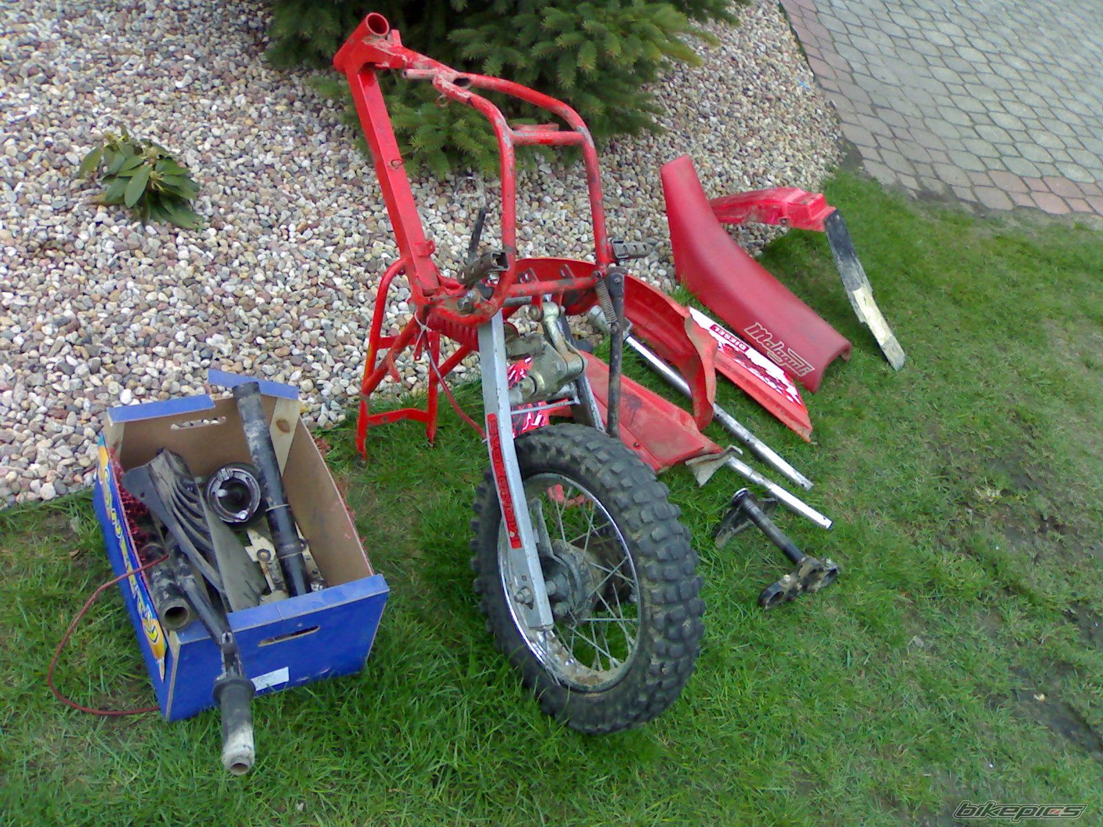 Photo 1259458