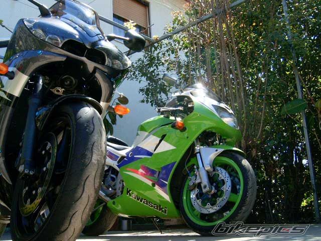 Photo 1259544