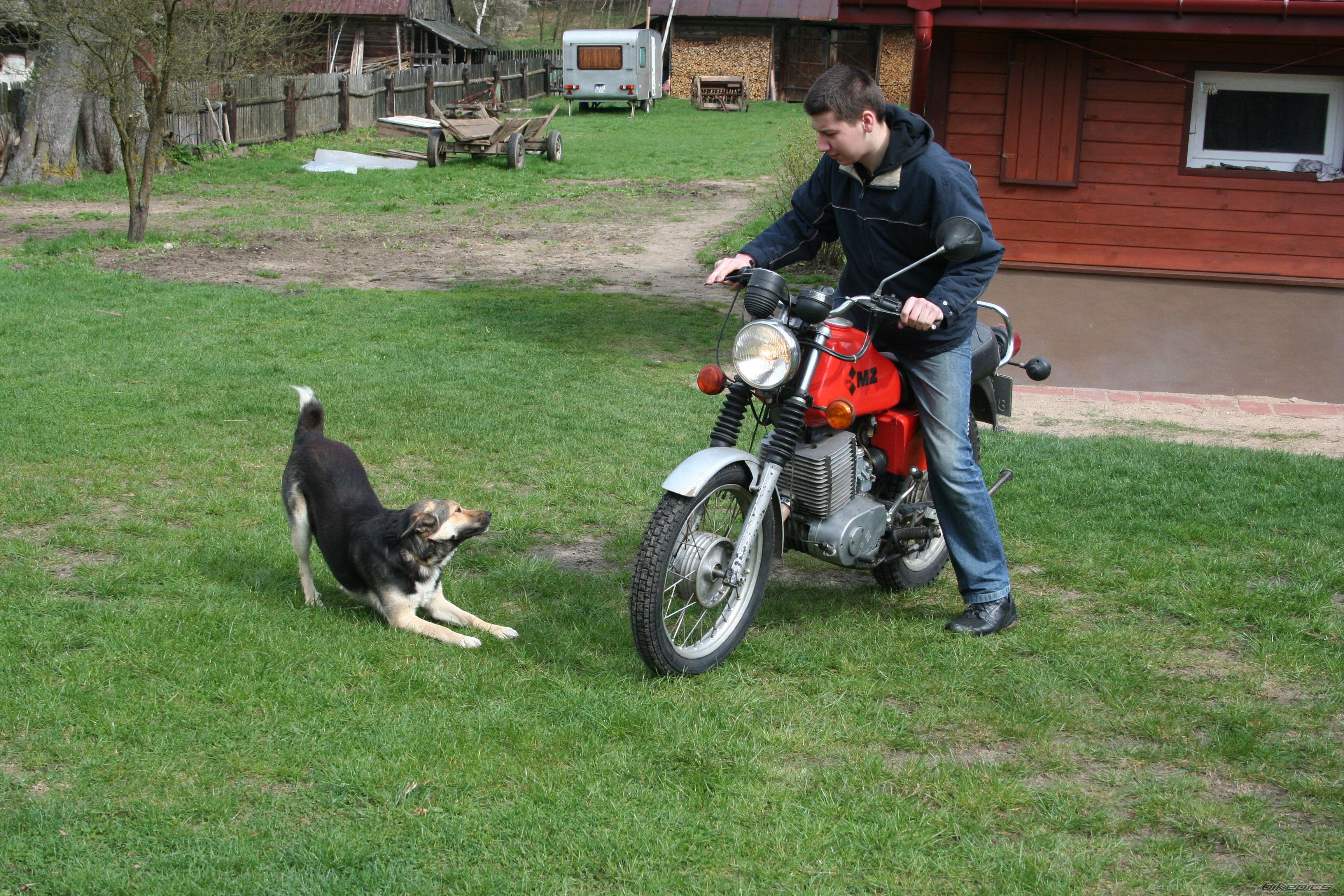 Photo 1259560