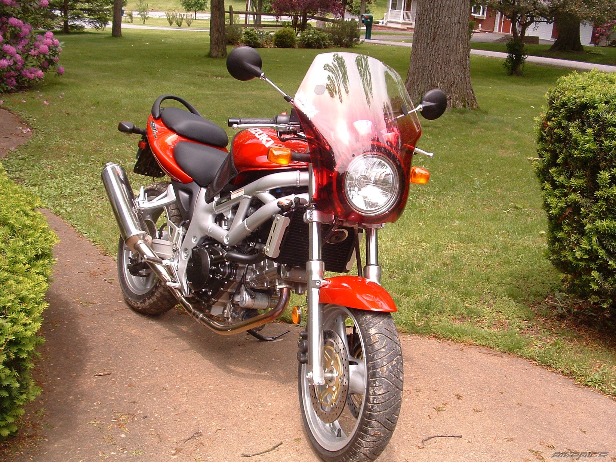 Photo 1259603